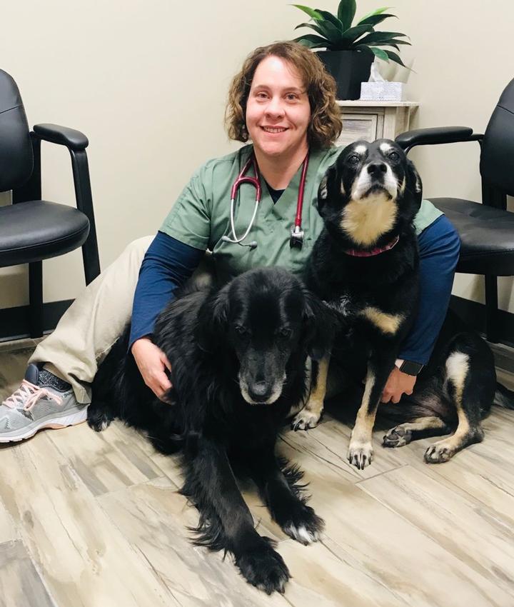 Experienced Veterinarians | Animal Hospital in Kansas City